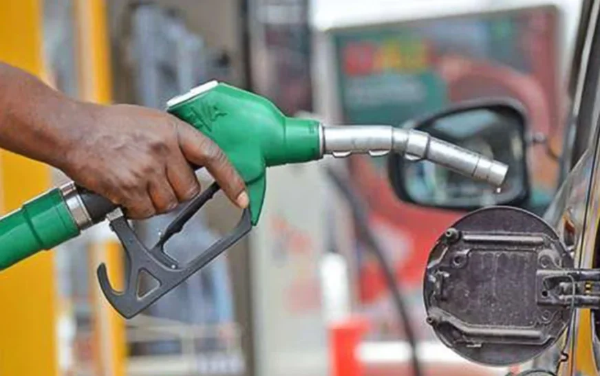 Petrol remains pricey as crude crashes to $73