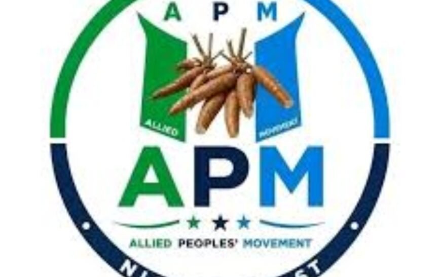 Insecurity: Nigerians deserve dividends of democracy not carnage – APM to govt