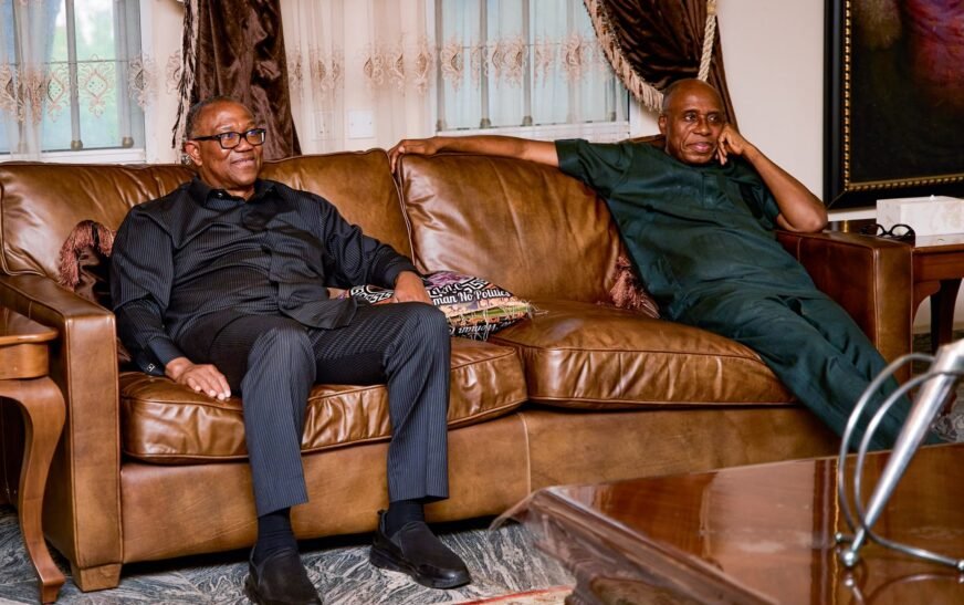 FIFA World Cup Victory Shows Youth Can Deliver New Nigeria – Obi