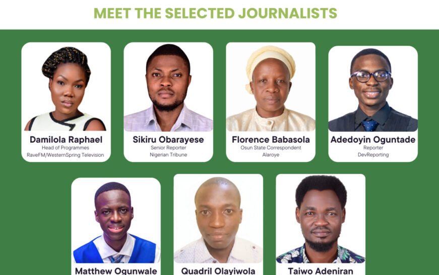 DevReporting commissions seven journalists for Osun local governance reporting project 
