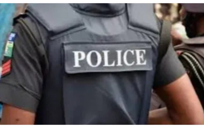 Osun: Police announce movement restriction, ban Amotekun, others from polling units